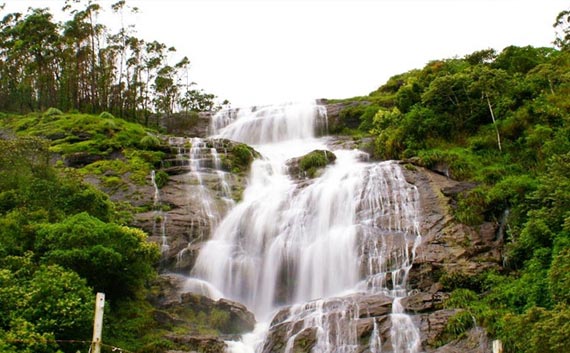 kerala hill station tour package south india